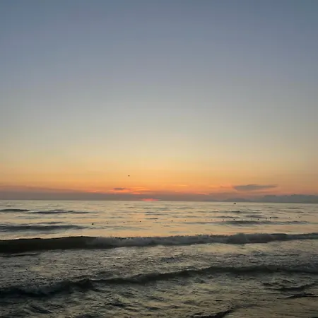 Sol *