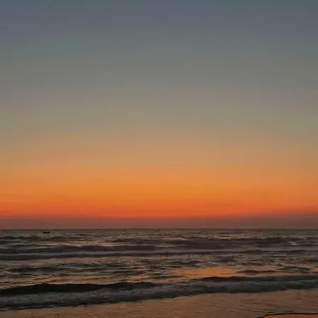 Sol *